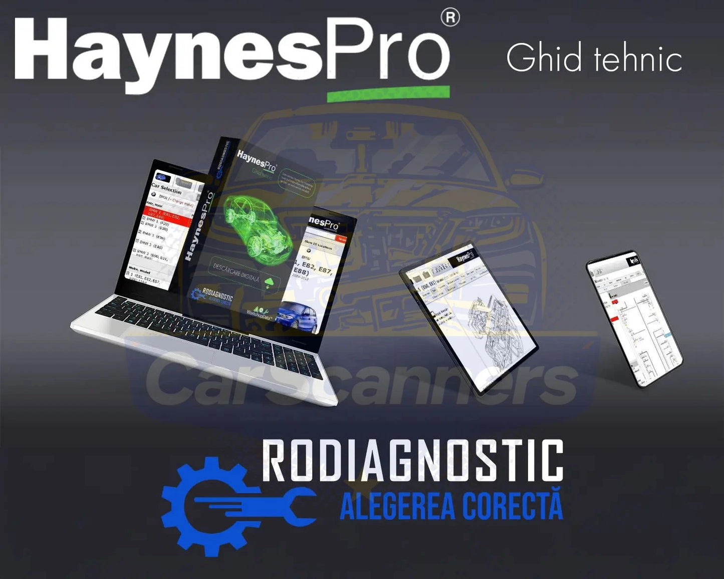 HaynesPro® WorkshopData™ - 2018 Lifetime License